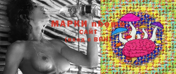 ПСИЛОЦИБИНОВЫЕ ГРИБЫ Абдулино