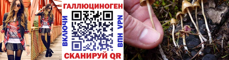 Псилоцибиновые грибы Magic Shrooms  Пошехонье 